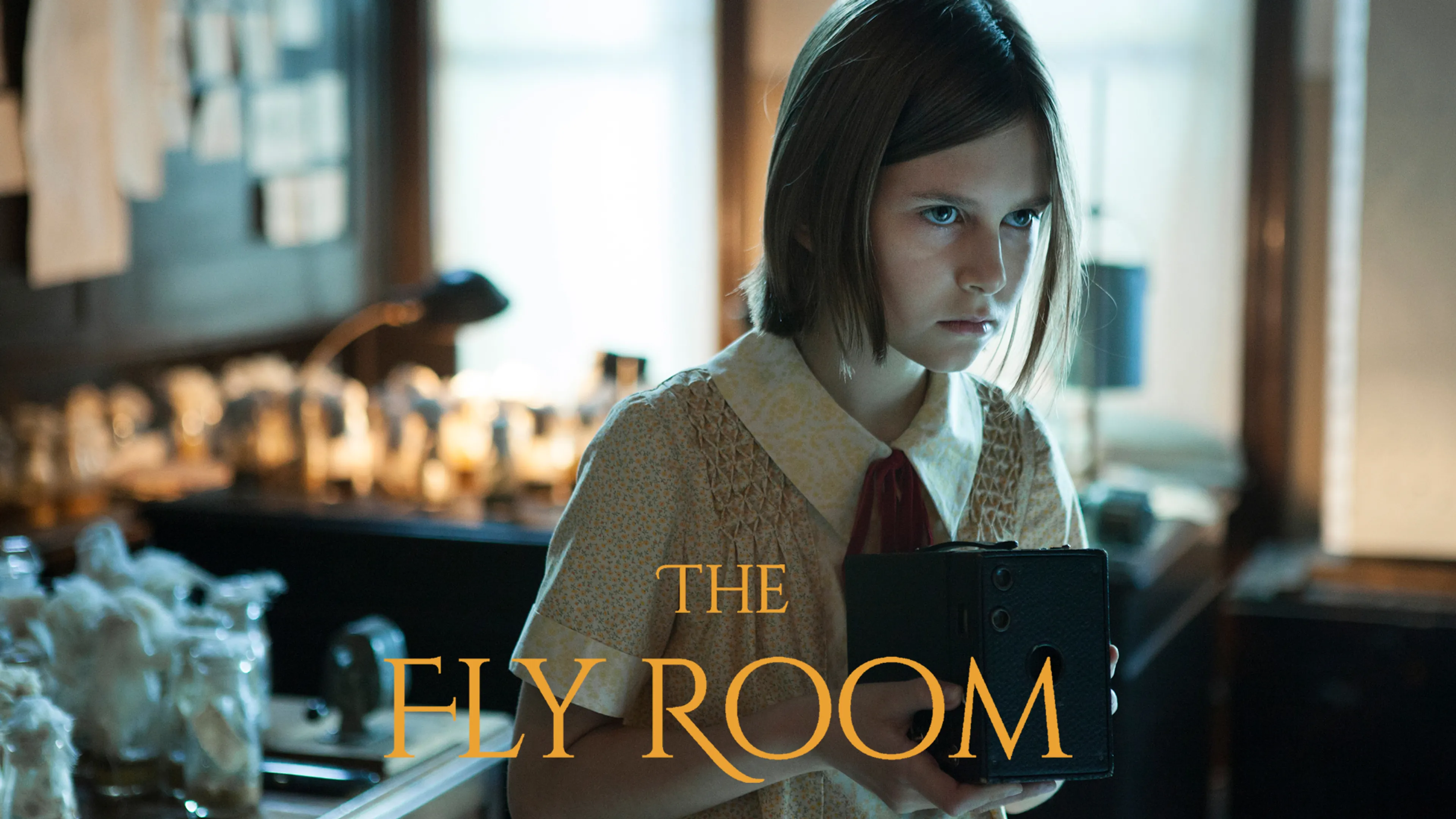 The Fly Room poster